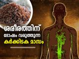 കര്‍ക്കിടകത്തില്‍ ശരീരം വിഷമയമാകും; ഭക്ഷണ ശ്രദ്ധ പ്രധാനം