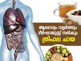 രോഗപ്രതിരോധശേഷിയും ദീര്‍ഘായുസ്സും; ത്രിഫല ചായ ഒരു മാന്ത്രികക്കൂട്ട്