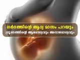 ആദ്യ മാസത്തില്‍ തന്നെയറിയാം ഗര്‍ഭം ആരോഗ്യകരമോ അനാരോഗ്യകരമോ എന്ന്