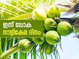 തെങ്ങ് എന്ന കല്‍പവൃക്ഷം; ഇന്ന് ലോക നാളികേര ദിനം