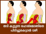 തടി കൂട്ടുന്ന ഹോര്‍മോണിനെ പിടിച്ചുകെട്ടാന്‍ വഴിയുണ്ട്