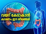 ഗ്യാസും വയറുവേദനയും വെറുതേയല്ല; വയറ് കേടാകാന്‍ കാരണം ഈ ശീലങ്ങള്‍