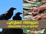 പൂര്‍വ്വികര്‍ നിങ്ങളുടെ വീട്ടിലെത്തിയിട്ടുണ്ട്; ഈ അടയാളങ്ങളാണ് സൂചന