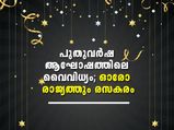 പുതുവര്‍ഷം ഒന്ന്; ആഘോഷങ്ങള്‍ പലവിധം