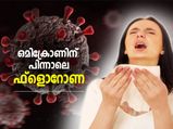 ഒമിക്രോണിന് പിന്നാലെ പുതിയ വൈറസ്; ഫ്‌ളൊറോണയെ ഭയക്കണോ?
