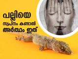 ദുര്‍നിമിത്തം, അപകട സൂചന; പല്ലിയെ സ്വപ്‌നം കണ്ടാല്‍ അര്‍ത്ഥമാക്കുന്നതാണ് ഇത്