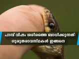 വൃക്കസ്തംഭനവും ഹൃദയസ്തംഭനവും: പാമ്പ് വിഷം ശരീരത്തെ ബാധിക്കുന്നത്