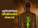ശരീരത്തിലെ വിഷാംശം നീക്കാന്‍ എളുപ്പവും ഫലപ്രദവുമായ വഴി