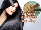 മുടിയുടെ ഗുണത്തിനും കരുത്തിനും പ്രതിവിധി വീട്ടില്‍ത്തന്നെ; ഇതാണ് ചെയ്യേണ്ടത്