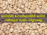 ഓട്‌സില്‍ ഗുണങ്ങളില്‍ മുന്നില്‍ ഹോള്‍ഗ്രെയിന്‍ ഓട്‌സ്: ബിപിയും പ്രമേഹവും കൈപ്പിടിയില്‍