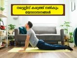 നടുവേദന പെട്ടെന്ന് മാറ്റും നടുവിന് ഉറപ്പ് നല്‍കും യോഗാസനങ്ങള്‍