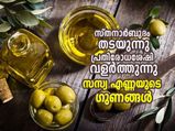 സ്തനാര്‍ബുദം തടയും പ്രതിരോധശേഷി കൂട്ടും; എണ്ണിയാല്‍ തീരില്ല സസ്യ എണ്ണയുടെ ഗുണം