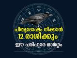 ജീവിതകാലം പിന്തുടരും പിതൃദോഷം; പരിഹാരമാര്‍ഗം 12 രാശിക്കും ഈ ജ്യോതിഷ പരിഹാരം