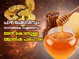പാഴ്‌ചെലവുകളും സാമ്പത്തിക പ്രശ്‌നങ്ങളും നീക്കാന്‍ തേന്‍ ഉപയോഗിച്ച് ഈ ജ്യോതിഷ പരിഹാരം