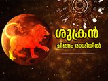 Shukra Gochar: ശുക്രന്റെ രാശിമാറ്റം; ചിങ്ങം രാശിയിലെ ശുക്രന്‍ നല്‍കും ഈ രാശിക്കാര്‍ക്ക് കഷ്ടകാലം