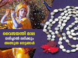 ശ്രീകൃഷ്ണനെ ധ്യാനിച്ച് വൈജയന്തി മാല ധരിച്ചാല്‍ ജീവിതത്തില്‍ കഷ്ടപ്പാടില്ല; ഫലങ്ങള്‍ അത്ഭുതം