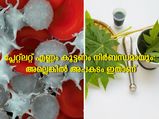 രക്തത്തിലെ പ്ലേറ്റ്‌ലറ്റ് കൗണ്ട് നിങ്ങളില്‍ കുറവാണോ: ഈ ലക്ഷണങ്ങള്‍ ശ്രദ്ധിക്കണം