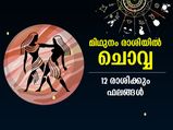 Mangal Gochar 2022 : ചൊവ്വ മിഥുനം രാശിയില്‍; 12 രാശിക്കും ഗുണദോഷ ഫലങ്ങള്‍