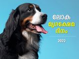 മൃഗങ്ങളുടെ അവകാശങ്ങള്‍ സംരക്ഷിക്കാം; ഇന്ന് ലോക മൃഗക്ഷേമ ദിനം
