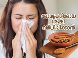 രോഗങ്ങള്‍ അടുക്കില്ല; പ്രതിരോധശേഷി കൂട്ടാന്‍ ശൈത്യകാലത്ത് കഴിക്കേണ്ട സുഗന്ധവ്യഞ്ജനങ്ങള്‍