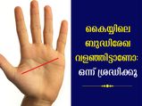 ഹസ്തരേഖാശാസ്ത്രത്തില്‍ ഒളിഞ്ഞിരിക്കും തൊഴില്‍മേഖലയും വളര്‍ച്ചയും