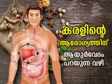 ശരീരത്തെ വിഷമുക്തമാക്കുന്ന കരള്‍; ആരോഗ്യത്തിന് ആയുര്‍വേദം പറയും വഴി