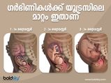 ഗര്‍ഭകാലം അഞ്ചാമത്തെ ആഴ്ചയില്‍ കുഞ്ഞാവയിലെ മാറ്റങ്ങള്‍