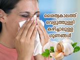 ശൈത്യകാലത്ത് പ്രതിരോധശേഷിയും രോഗങ്ങളില്‍ നിന്ന് രക്ഷയും; വെളുത്തുള്ളി കഴിച്ചാലുള്ള ഗുണങ്ങള്‍