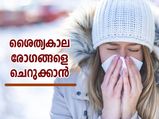 ശൈത്യകാല രോഗങ്ങള്‍ അടുക്കില്ല; ഈ ഭക്ഷണങ്ങളിലുണ്ട് തടയിടാനുള്ള വഴി