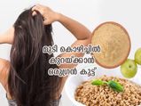 മുടി കൊഴിച്ചിലിന് ഫലപ്രദമായ പ്രതിവിധി; ഈ പോഷകക്കൂട്ട് നല്‍കും മുടിക്ക് ആരോഗ്യം