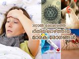 എബോള, നിപ, സിക്ക; 2022ല്‍ ലോകത്തെ പിടിച്ചുകുലുക്കിയ 10 രോഗങ്ങള്‍