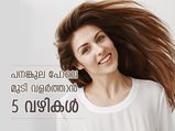 ഈ 5 വഴികളിലൂടെ വളര്‍ത്താം ശൈത്യകാലത്ത് പനങ്കുല പോലെ മുടി