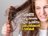 ദിവസവും മുടി കഴുകേണ്ട; ശൈത്യകാലത്തെ വരണ്ട കെട്ടുപിണഞ്ഞ മുടി പരിഹരിക്കാന്‍ 5 വഴികള്‍