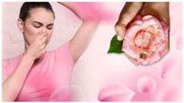 Different Ways To Use Rose To Get Rid Of Body Odor In Malayalam