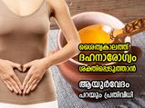 ദഹനാരോഗ്യം ശക്തിപ്പെടുത്താം, രോഗങ്ങളെ ചെറുക്കാം; ആയുര്‍വേദം പറയും പ്രതിവിധികള്‍