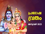 ഈ വര്‍ഷത്തെ ആദ്യ പ്രദോഷ വ്രതം; ആരാധനാരീതിയും ശുഭമുഹൂര്‍ത്തവും പൂജാവിധിയും