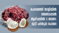 ആയുര്‍വ്വേദമാണ് ഉറപ്പ്: 30 ദിവസം സമയം മുടി നല്ല കട്ടിയുള്ളതും തിളങ്ങുന്നതും