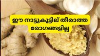 ഇഞ്ചി വെളുത്തുള്ളി മിക്‌സ് ഇപ്രകാരം കഴിക്കണം: അമൃതിന്‍ ഫലമാണ്