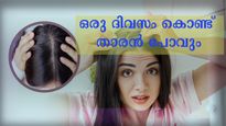 Tulsi And Coconut Oil Mix To Get Rid Of Dandruff Details In Malayalam