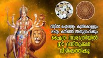 ഭാഗ്യം വിടാതെ കൂടെനില്‍ക്കും; ചൈത്ര നവരാത്രിയില്‍ ഈ വസ്തുക്കള്‍ വീട്ടിലെത്തിക്കൂ