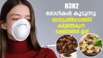 എച്ച്3 എന്‍2 കേസുകള്‍ ഉയരുന്നു; ഈ ഭക്ഷണങ്ങളിലുണ്ട് പ്രതിരോധത്തിനുള്ള വഴി