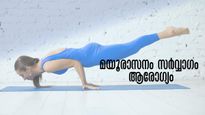 Benefits Of Mayurasana Peacock Pose And How To Do It Properly Details Inside