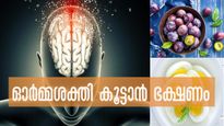 ഓര്‍മ്മശക്തിക്ക് നിര്‍ബന്ധം ഈ വിറ്റാമിനുകള്‍: ആരെല്ലാം കഴിക്കണം?