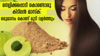 മുടിയുടെ കാര്യത്തില്‍ ഇനി ടെന്‍ഷന്‍ വേണ്ട: നെല്ലിക്കയില്‍ തീരാത്ത പ്രശ്‌നങ്ങളില്ല