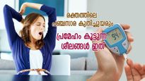 രക്തത്തിലെ പഞ്ചസാര കുതിച്ചുയരും, പ്രമേഹം നിയന്തിക്കാനാകില്ല; ഈ തെറ്റ് ഒരിക്കലും ചെയ്യരുത്