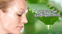 വേനലില്‍ എണ്ണമയമുള്ള ചര്‍മ്മം വഷളാകുന്നത് പെട്ടെന്ന്; നിയന്ത്രിക്കാനുള്ള വഴിയിത്