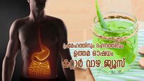 പ്രമേഹത്തിനും ദഹനവ്യവസ്ഥയ്ക്കും സമ്പൂര്‍ണ്ണ ഔഷധം; വേനലില്‍ കറ്റാര്‍ വാഴ ജ്യൂസ് നല്‍കും ഗുണം