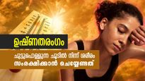 40 ഡിഗ്രിക്ക് മുകളില്‍ ചൂട്, ഉഷ്ണതരംഗം ആപത്ത്; ശരീരം രക്ഷിക്കാന്‍ ചെയ്യേണ്ട കാര്യങ്ങള്‍
