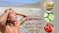 കത്തുന്ന കൊടുംചൂട്; ഉഷ്ണതരംഗം മറികടക്കാന്‍ ശരീരത്തെ സഹായിക്കും ഈ ഭക്ഷണങ്ങള്‍