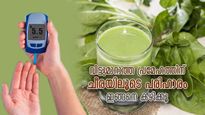 രക്തത്തിലെ പഞ്ചസാര കുറയ്ക്കാം, പ്രമേഹം ഫലപ്രദമായി നിയന്ത്രിക്കാം; ചീര നല്‍കുന്ന ഗുണം